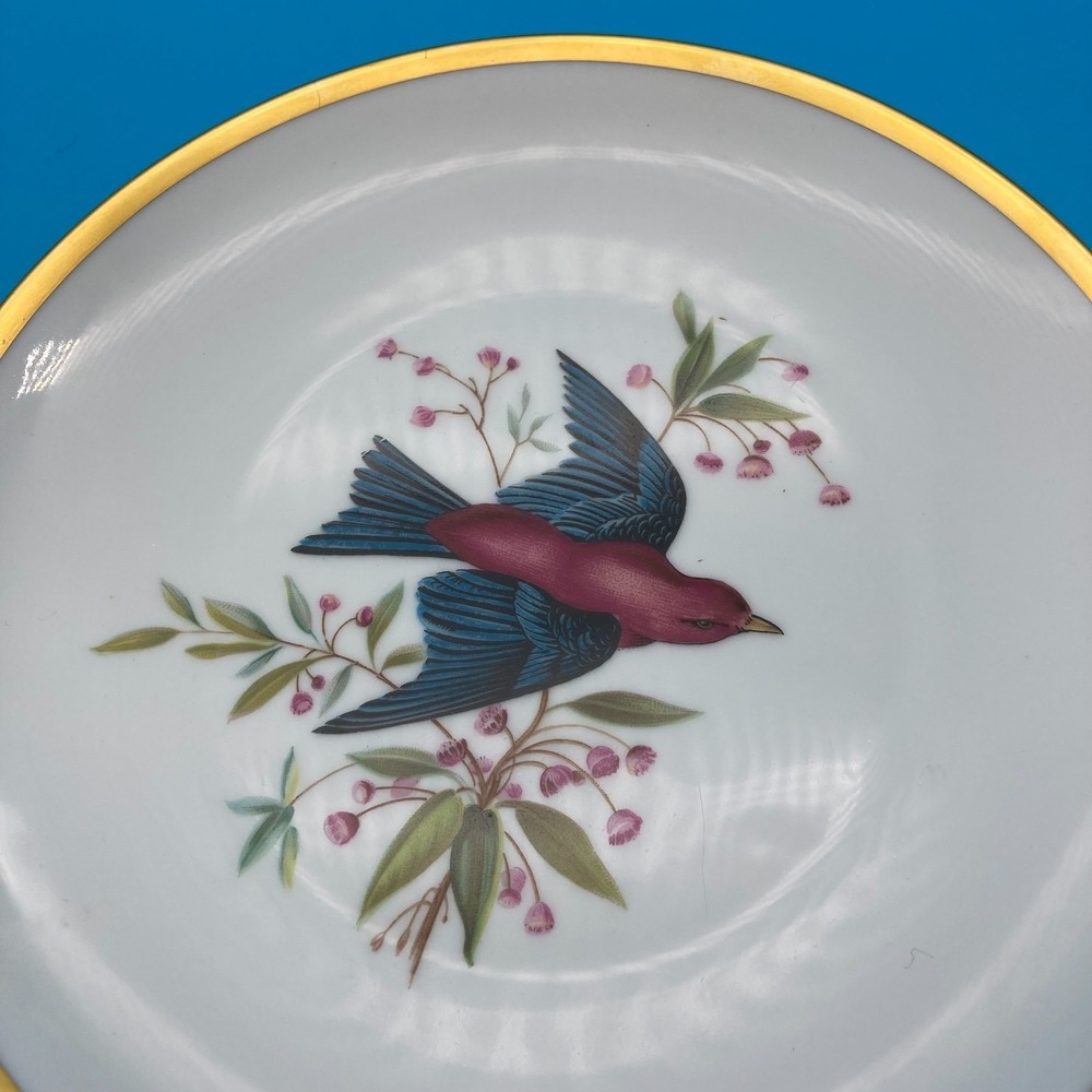 RARE Pre-War Hutschenreuther Selb Audubon Bird Plates - Set of 6 - Circa 1930s - Picture 2 of 9